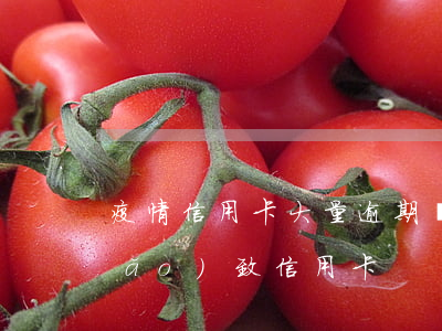 疫情信用卡大量逾期會怎么樣嗎(疫情導(dǎo)致信用卡)