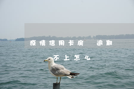疫情信用卡房貸逾期狀況(疫情期間信用卡房貸還不上怎么辦)