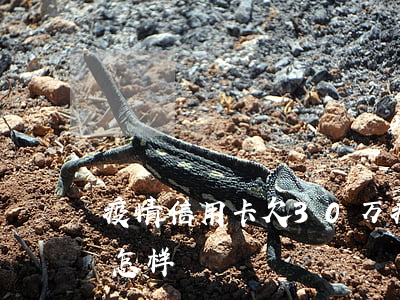 疫情信用卡欠30万(疫情信用卡欠30万会怎样)