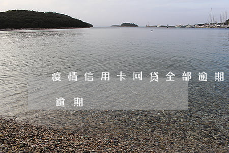 疫情信用卡网贷全部逾期等死中 信用卡,网贷逾期