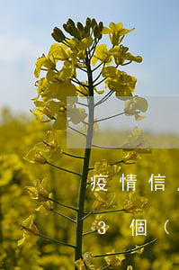 疫情信用卡花唄逾期了-疫情期間花唄逾期3個(gè)多月會(huì)不會(huì)上征信