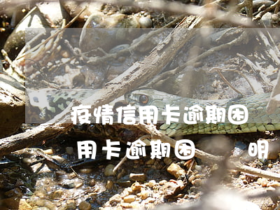 疫情信用卡逾期困難證明還款模板-疫情信用卡逾期困難證明還款模板怎么寫