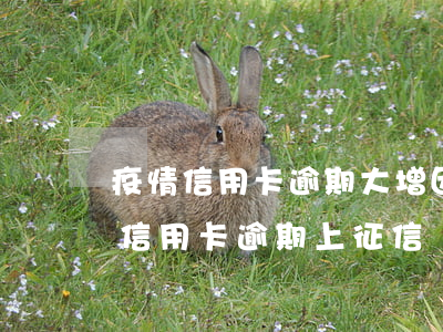 疫情信用卡逾期大增(因疫情導(dǎo)致信用卡逾期上征信)