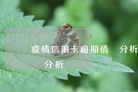 疫情信用卡逾期情況分析(疫情信用卡逾期情況分析)