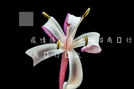 疫情信用卡逾期招商銀行(疫情信用卡逾期招商銀行還款)