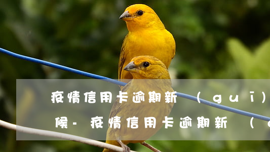 疫情信用卡逾期新規(guī)定到什么時候-疫情信用卡逾期新規(guī)定到什么時候結(jié)束
