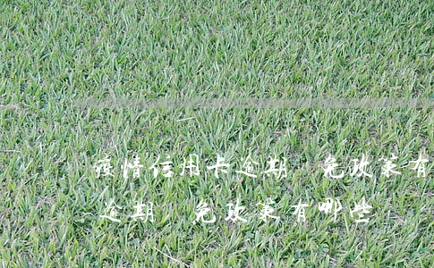疫情信用卡逾期減免政策有哪些(疫情信用卡逾期減免政策有哪些)
