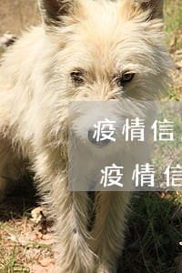 疫情信用卡逾期申請(qǐng)撤銷資料(疫情信用卡逾期申請(qǐng)撤銷資料怎么填)