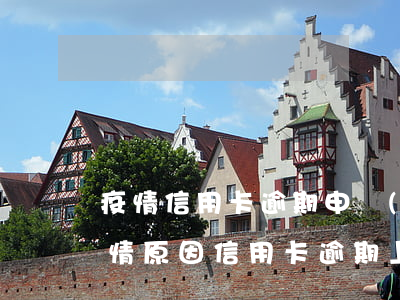 疫情信用卡逾期申請(qǐng)模板 因疫情原因信用卡逾期上征信怎么開具證明