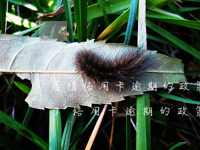 疫情信用卡逾期的政策(疫情期間對(duì)信用卡逾期的政策)