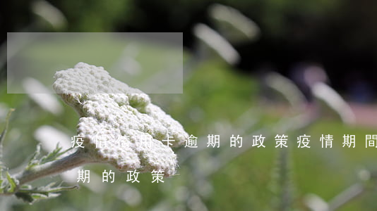 疫情信用卡逾期的政策(疫情期間對信用卡逾期的政策)