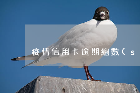 疫情信用卡逾期總數(shù)全國
