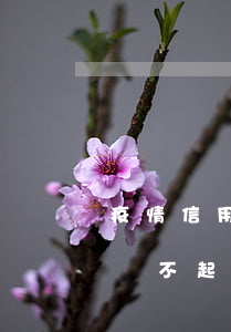 疫情信用卡逾期總額 疫情期信用卡逾期,確實還不起,有影響嗎