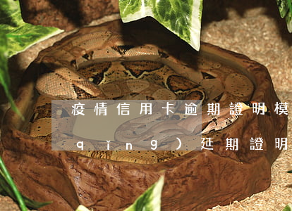 疫情信用卡逾期證明模板(疫情信用卡申請(qǐng)延期證明怎么寫(xiě))