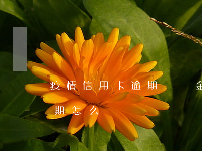 疫情信用卡逾期違約金 因疫情影響信用卡逾期怎么辦
