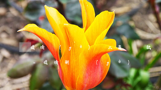 疫情個(gè)體工商戶貸款還不起怎么辦-疫情期間個(gè)體戶貸款