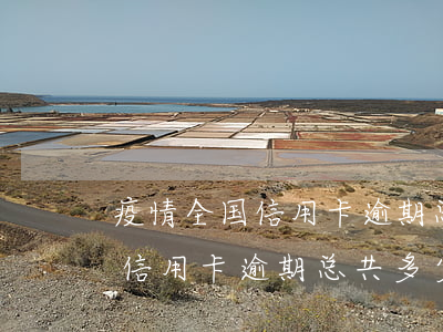 疫情全国信用卡逾期总共多少钱-疫情全国信用卡逾期总共多少钱了
