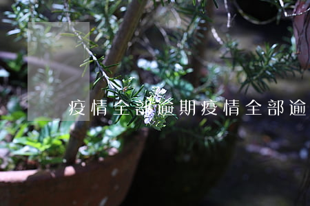 疫情全部逾期(疫情全部逾期怎么辦)