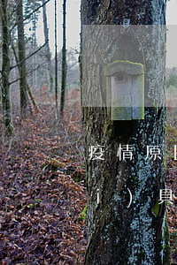 疫情原因信用卡逾期證明模版：如何開(kāi)具因疫情導(dǎo)致的信用卡逾期證明及影響