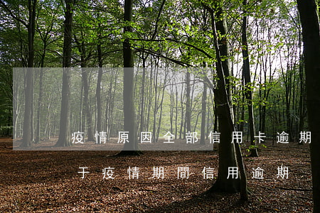疫情原因全部信用卡逾期了(關(guān)于疫情期間信用逾期)