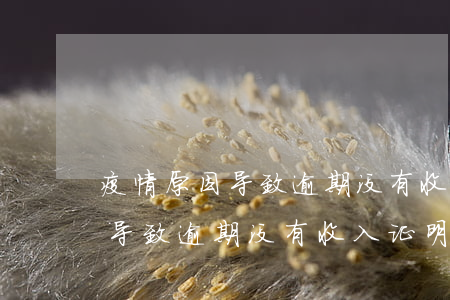 疫情原因导致逾期没有收入证明-疫情原因导致逾期没有收入证明怎么办