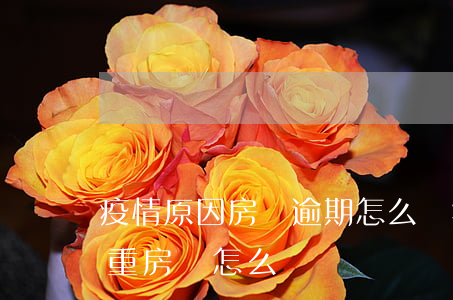 疫情原因房貸逾期怎么辦(疫情嚴(yán)重房貸怎么辦)