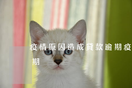 疫情原因造成貸款逾期(疫情原因造成貸款逾期)