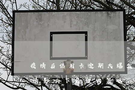 疫情后信用卡逾期大爆发：应对2020年疫情影响下的催收策略