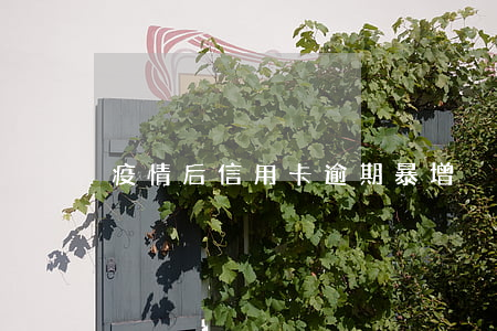 疫情后信用卡逾期暴增