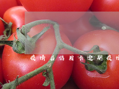疫情后信用卡逾期(疫情期間的信用卡逾期)
