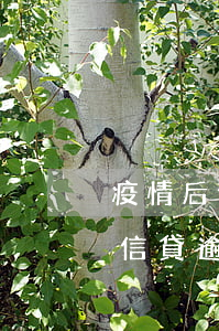 疫情后信貸逾期后會走司法程序嗎-疫情后信貸逾期后會走司法程序嗎知乎