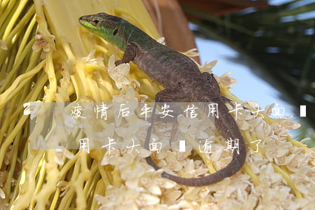 疫情后平安信用卡大面積逾期(疫情后平安信用卡大面積逾期了)