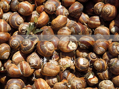 疫情哄抬物價(jià)怎么舉報(bào)
