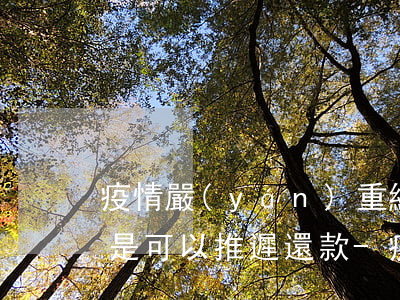 疫情嚴(yán)重網(wǎng)貸是不是可以推遲還款-疫情嚴(yán)重網(wǎng)貸是不是可以推遲還款了