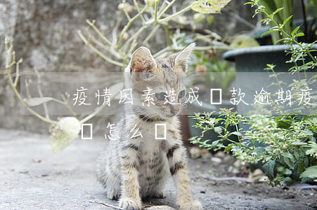 疫情因素造成貸款逾期(疫情期間貸款逾期申請怎么寫)