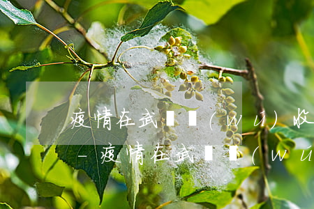 疫情在武漢無(wú)收入貨款逾期怎么辦-疫情在武漢無(wú)收入貨款逾期怎么辦理