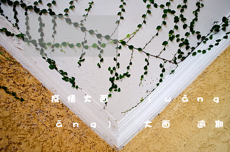 疫情大面積網(wǎng)貸逾期了(網(wǎng)貸大面積逾期怎么辦)