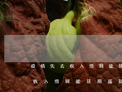疫情失去收入借唄能延期還款嗎-疫情失去收入借唄能延期還款嗎知乎
