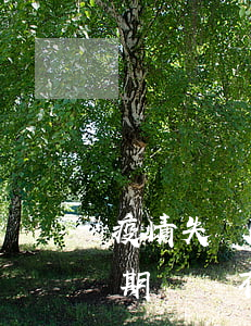 疫情失業(yè)了借唄花唄逾期(借唄疫情期間還不上怎么辦)