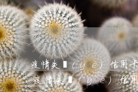 疫情失業(yè)信用卡逾期可以貸款嗎-疫情失業(yè)信用卡逾期可以貸款嗎知乎