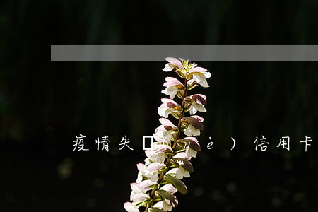 疫情失業(yè)信用卡逾期怎么辦