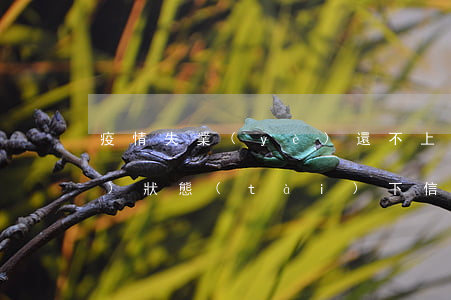 疫情失業(yè)還不上信用卡（失業(yè)狀態(tài)下信用卡逾期）