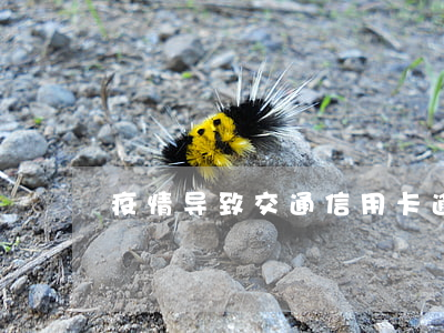 疫情导致交通信用卡逾期
