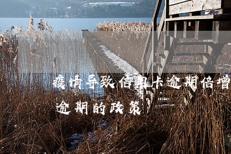 疫情导致信用卡逾期倍增(疫情期间对信用卡逾期的政策)