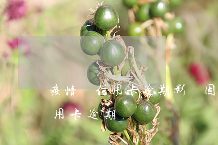 疫情對信用卡逾期影響(因為疫情多少人欠信用卡逾期)