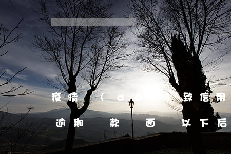 疫情導(dǎo)致信用卡還款逾期(信用卡逾期還款將面臨以下后果)