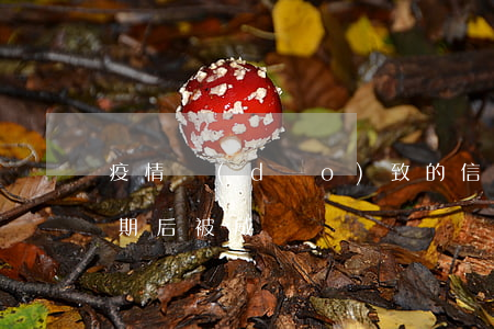 疫情導(dǎo)致的信用卡逾期（信用卡逾期后被威脅）