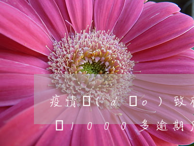 疫情導(dǎo)致花唄逾期五千(支付寶花唄1000多逾期后果)