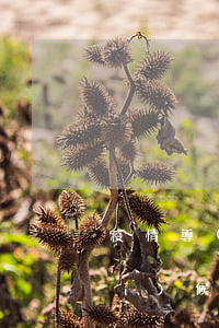 疫情導(dǎo)致花唄逾期什么時(shí)候恢復(fù)-疫情導(dǎo)致花唄逾期什么時(shí)候恢復(fù)正常