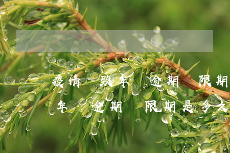 疫情導致年檢逾期寬限期是多久-疫情期間年檢逾期寬限期是多久